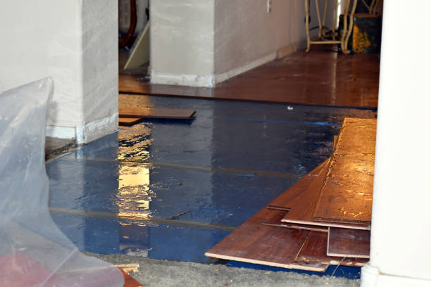 Professional Basement Flood Cleanup technician working in Attica, OH